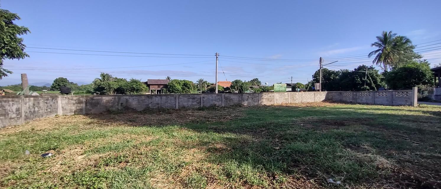 ที่สำหรับสร้างบ้าน 115ตรว 490,000อยู่บ้านนาแก้วตะวันออก ต.นาแส่ง อ.เกาะคา จ.ลำปาง วิวเขา วิวทุ่งนา อยู่กลางชุมชนห่างถนนพหลโยธิน 80เมตร ห่าง7-1 7