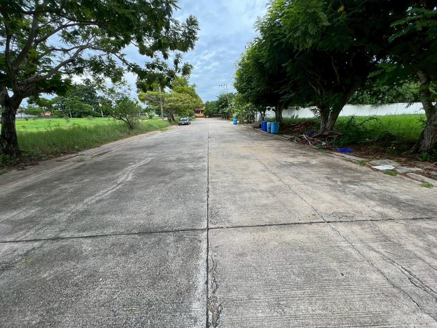 ขายที่ดินเปล่าถมแล้ว หมู่บ้านกรีนวัลเล่ย์ บางนา-ตราด กม.15 แปลงสวย ทำเลดี พร้อมสร้างบ้าน 10