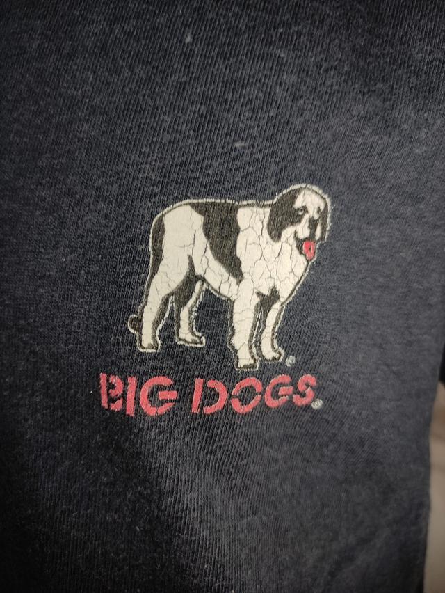 เสื้อยืด T-shirt Just do is Tomorrow รูปที่ 2