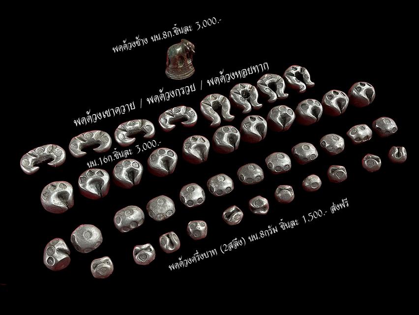 พดด้วงโบราณ พดด้วงรูปทรงต่างๆ พดด้วงก้นหอย เงินพดด้วงโบราณ 3