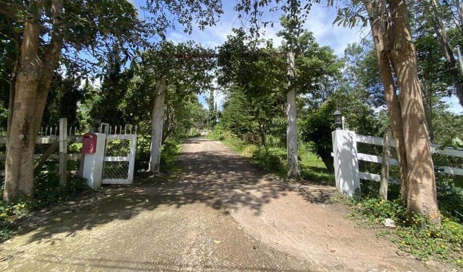 บ้านและที่ดินในปากช่อง ใกล้มอเตอร์เวย์ นครราชสีมา 6