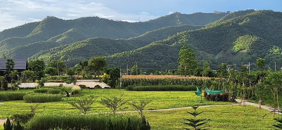 ที่ดินวิวภูเขา 360 ํ 7