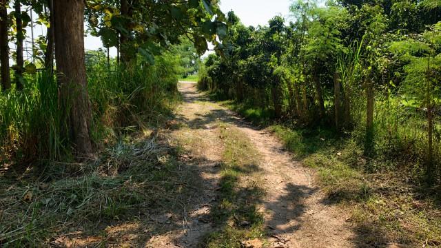 ขายที่ดินแปลงใหญ่ ทำเลศักยภาพ ต.น้ำบ่อหลวง อ.สันป่าตอง จ.เชียงใหม่ ราคาเพียง ไร่ละ 1,000,000 บาท 5