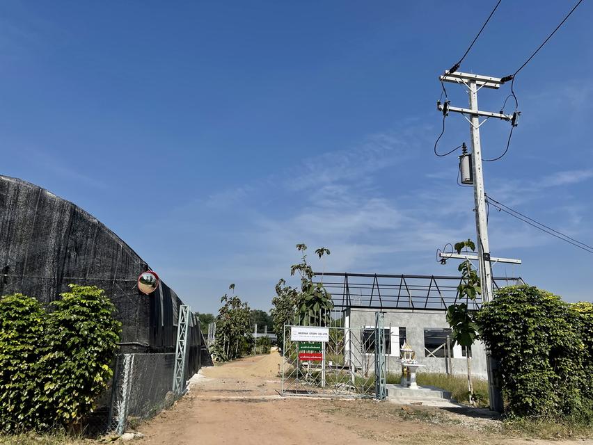 ขายที่ดินสวย ลดราคาพิเศษ พร้อมสิ่งปลูกสร้าง โรงเรือน 9 ไร่ ต.บ้านใหม่ อ.ท่าม่วง จ.กาญจนบุรี 9
