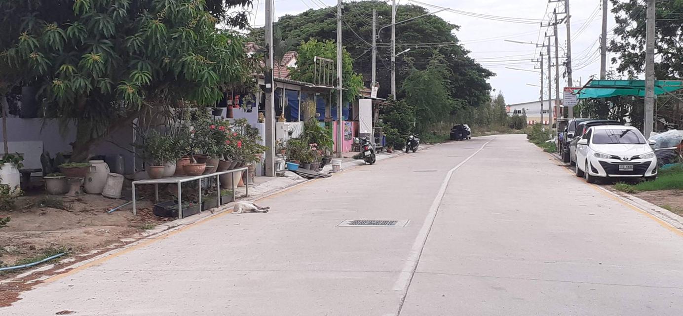 ขายที่ดินอำเภอหัวหิน 12 ไร่ 13