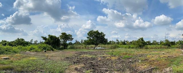 ที่ดินเปล่า 256 ตร.ว. ติดเลค ใกล้สนามกอล์ฟบางปู 1.2 กม. สมุทรปราการ สงบ เป็นส่วนตัว 10