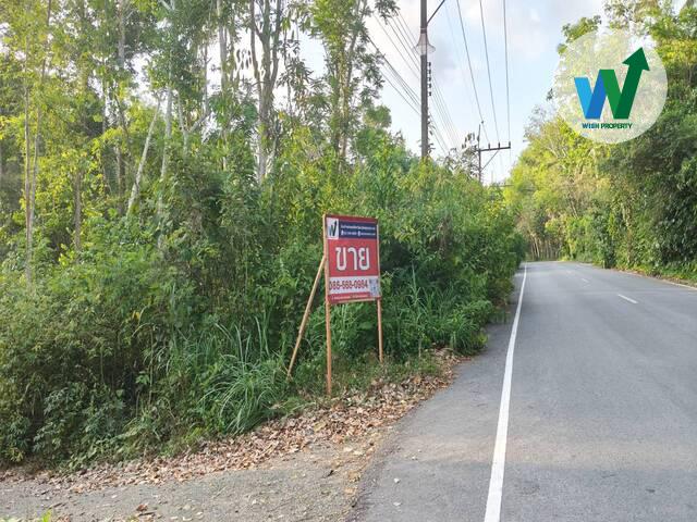 ขายที่ดินพร้อมไม้กฤษณาที่ติดถนนในอำเภอควนขนุนราคาไม่แพง 1