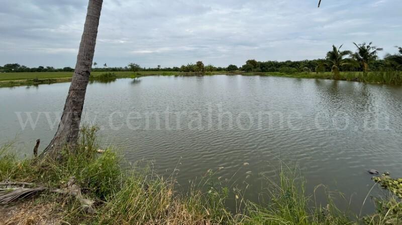 ที่ดิน 9-3-99.5 ไร่ ดอนโพธิ์ - สุพรรณบุรี มีผู้เช่า ทำเลดี 11