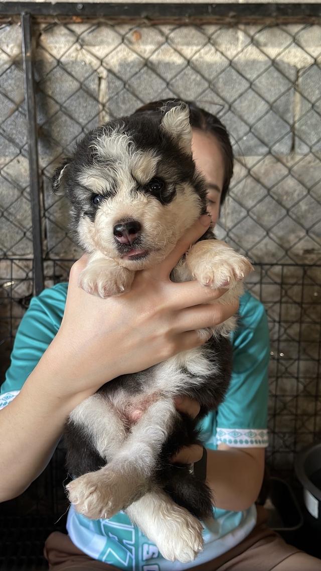 อัปเดตเด็กเข้าใหม่ เริ่มต้น5000 รูปที่ 8