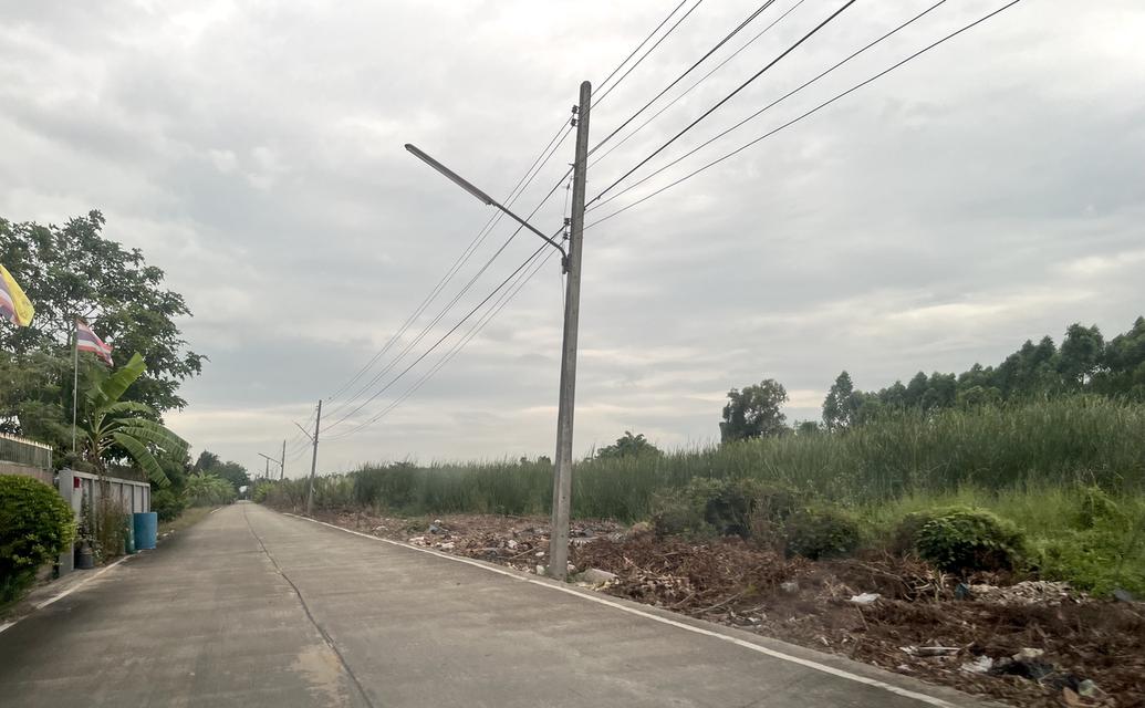 ขายที่ดิน 1 ไร่ คลอง 10 หนองเสือ ปทุมธานี 098 7755 808 6