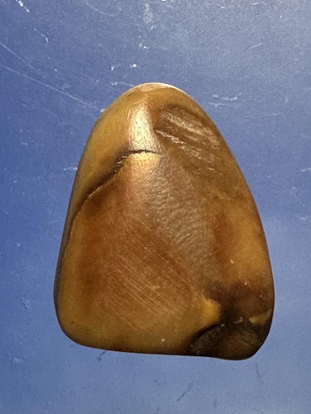 เขาควายเผือกหลวงพ่ออำ่วัดหนองกระบอก พิมพ์พระพุทธ 7