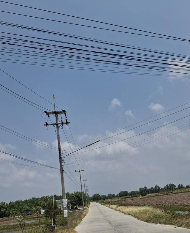 ขายที่ดินถมแล้ว 6 ไร่เศษ ใกล้อ่างเก็บน้ำรัชโลทร ต.วัดสุวรรณ อ.บ่อทอง จ.ชลบุรี 2