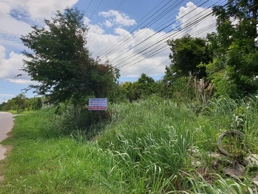 ขายที่ดินเปล่า สวนผึ้ง  เนื้อที่ 1 ไร่ - 3 งาน - 53 ตารางวา 8
