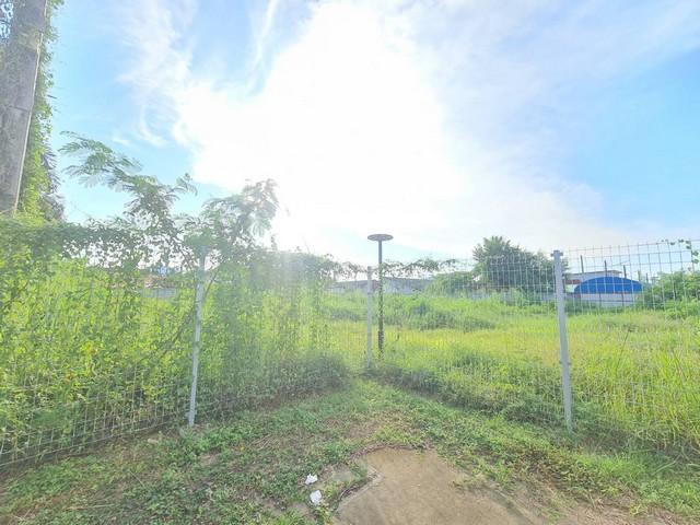 ขายที่ดินฝั่งทะเลขนาดที่ดิน 1 ไร่ 114 ตารางวา ตำบลบางเสร่ อำเภอสัตหีบ จังหวัดชลบุรี 8