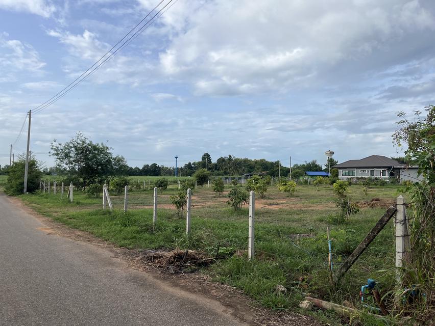 ขายที่ดินถมเเล้ว 1 ไร่ถ้วน 4