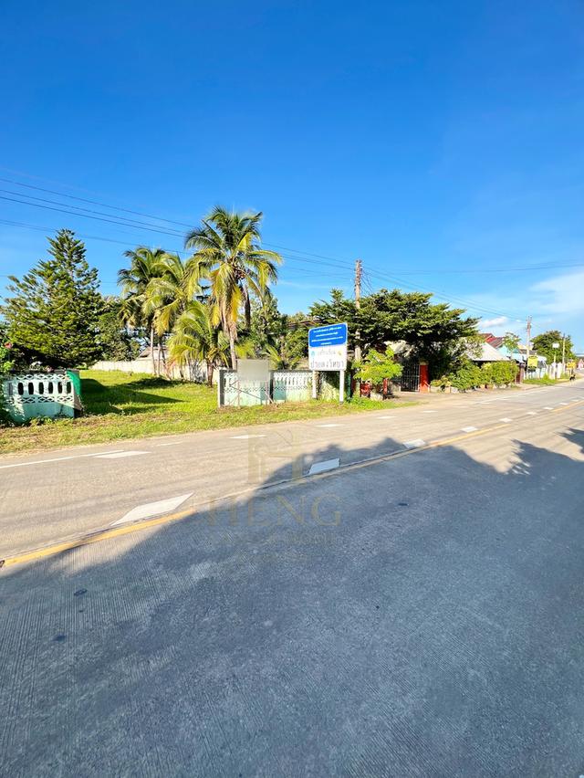 ขายที่ดินเปล่าเนื้อที่ 282 ตารางวา บ้านป่าข่า ตำบลหัวง้ม อำเภอพาน จังหวัดเชียงราย 13