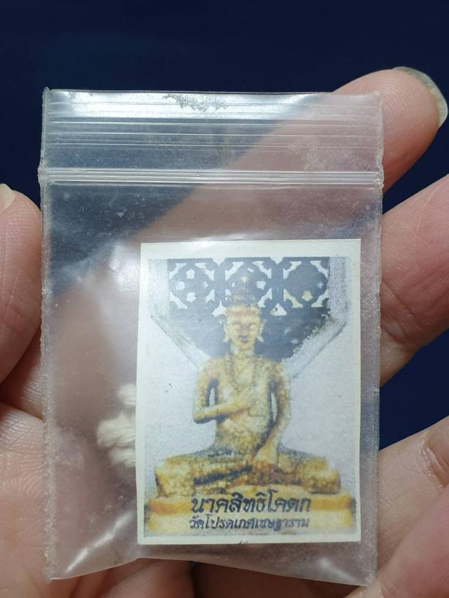 ภาพถ่ายหลวงปู่ฤาษีนาคสิทธิโคดก วัดโปรดเกศเชษฐาราม