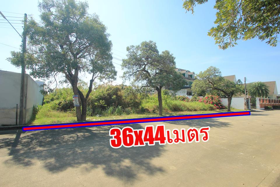 ที่ดินถนนบรมราชชนนีปิ่นเกล้านครชัยศรี ที่ดินสร้างบ้าน396.8ตารางวา หมู่บ้านวริยาวิลล์ หมู่บ้านติดถนนใหญ่ ซอยแรกของโครงการ ใกล้มหิดลศาลายา 7