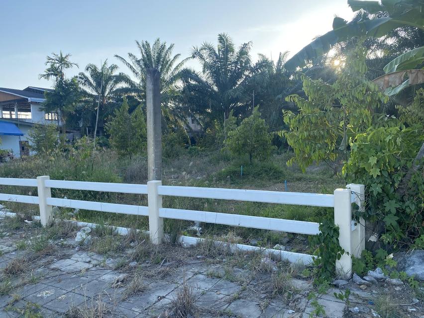 ที่ดินมีรายได้ ทำเลอนาคต ตรงข้ามโลตัสเวียงสระ 4