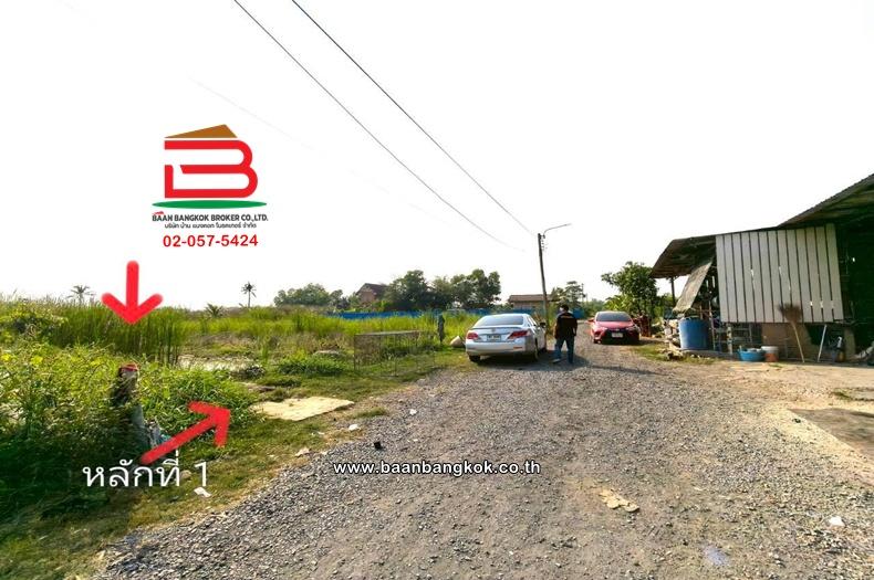 ที่ดินเปล่า เนื้อที่ 396 ตร.ว. หนองจอก-กระทุ่มราย (ซอยสุวินทวงศ์ 51) ถนนสุวินทวงศ์ แขวงกระทุ่มราย เขตหนองจอก(เจียระดับ) 6