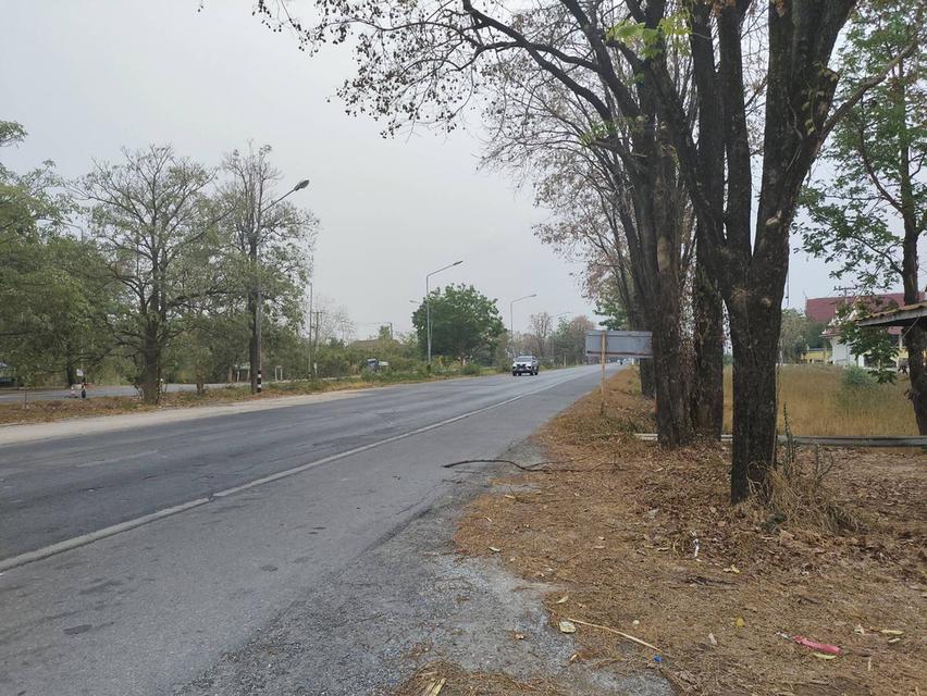 ขายที่ดินเปล่า ทำเลดี ติดถนน​ อำเภอวชิรบารมี จังหวัดพิจิตร  2