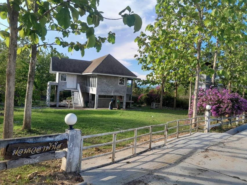 ที่ดินพร้อมบ้าน 2 ไร่ 2.7 ล้าน ต.วังหมี บ้านโคกสันติสุข