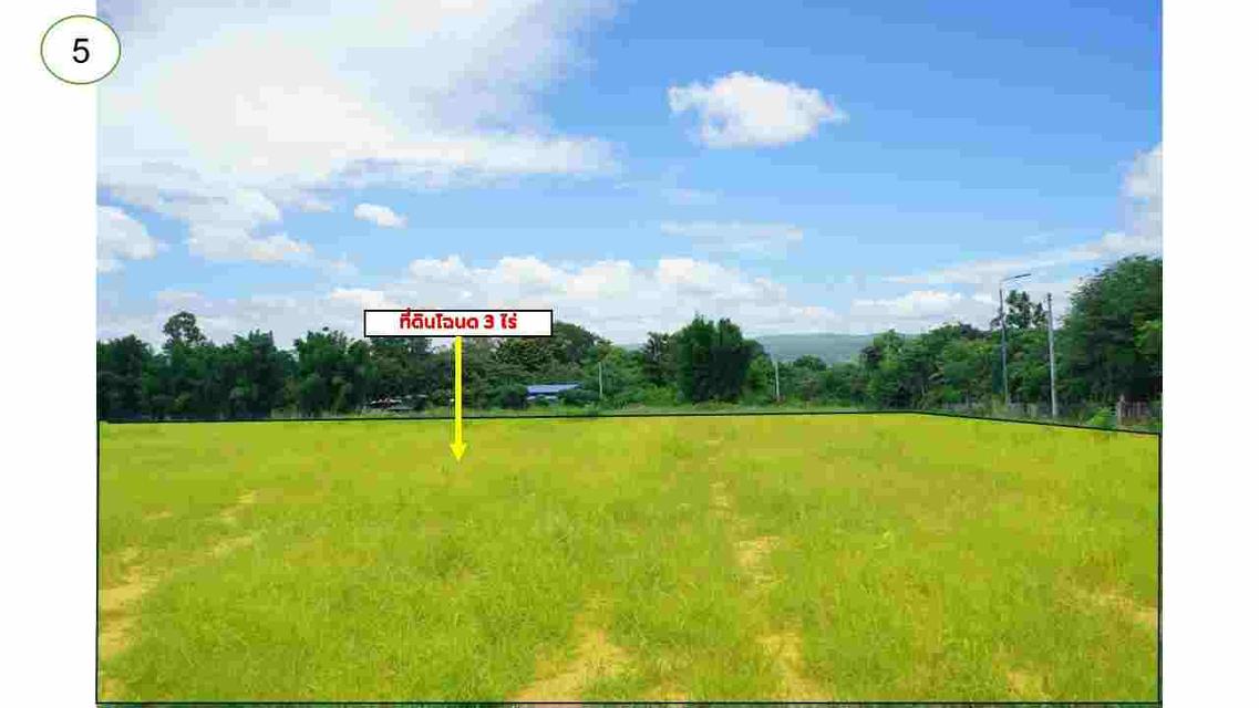 ขาย Ozone บริสุทธิ์ ที่ดินคลองไผ่.วิวเขา  3 ไร่.  3.9 ลบ. ( 3,250 บ./ วา ) 4