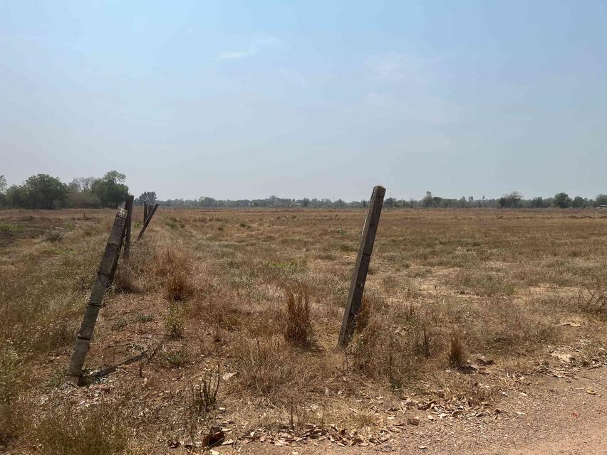 ขายที่ดิน 15 ไร่ ทำเลดี ติดกองบิน 4 ตาคลี เข้า ออกสะดวก น้ำไม่ท่วม 5