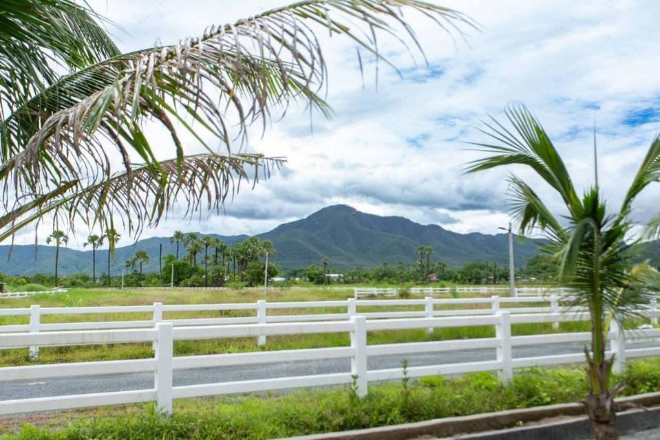 บ้านเดี่ยวชั้นเดียว พื้นที่กว้าง วิวภูเขา ธรรมชาติร่มรื่น #สันกำแพง ราคาเพียง 18,000 บาท/เดือน ✨清迈独栋平房出租 4 卧室 2 卫生间 - 租金 18,000 泰铢/月✨ 11