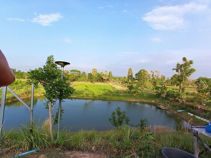 ขายด่วนที่ดินเปล่า21ไร่ ราคา3.9ล้าน ทำเลดีสวยบรรยากาศดีเหมาะทำฟาร์มรีสอร์ท อ.บ้านแท่น จ.ชัยภูมิ สนใจ0844255956 6