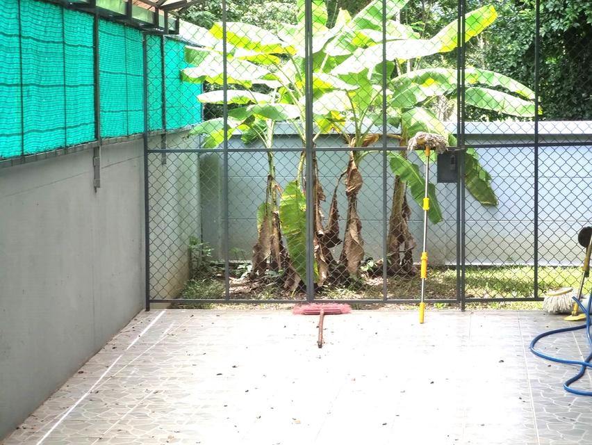 ✨ให้เช่าบ้านเดี่ยวชั้นเดียว ทำเลแม่ริม ใกล้รร.นานาชาติเปรม ✨ 8