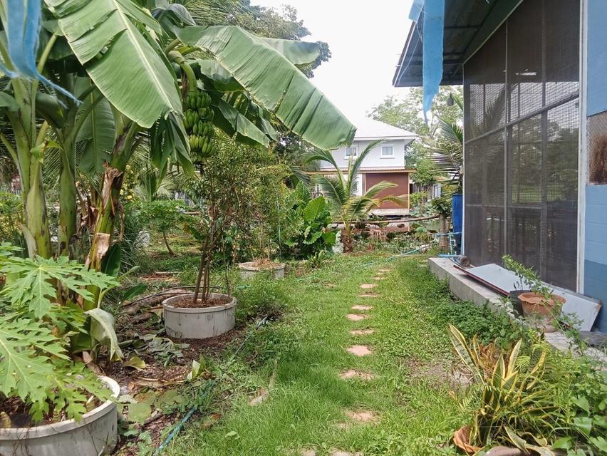 ขายบ้านชั้นเดียว ซอยเอราวัณ 28/1 คลองสอง คลองหลวง 5