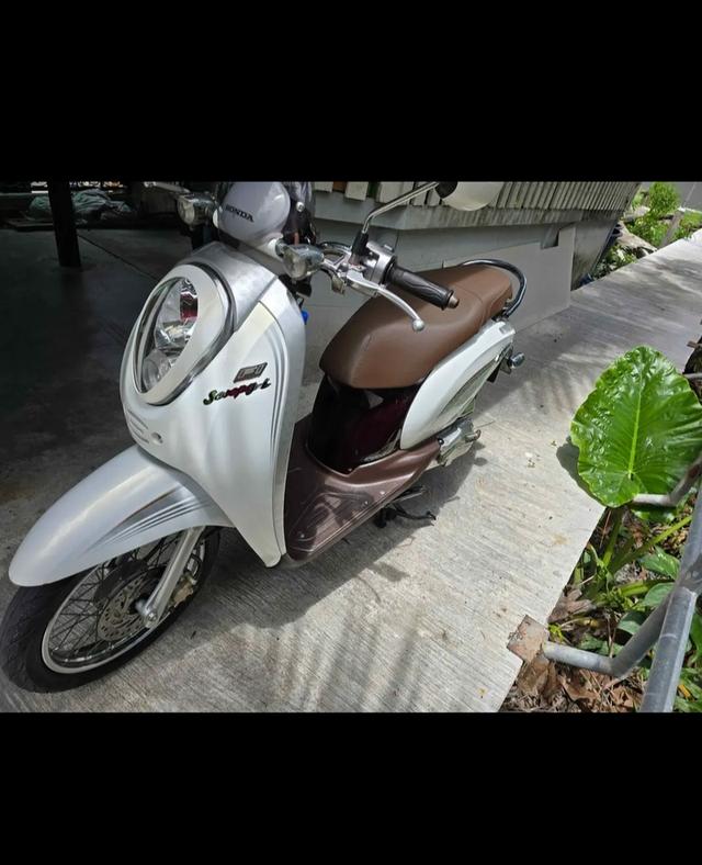 Honda scoopy i 2010 สภาพนางฟ้า สีขาว รูปที่ 4