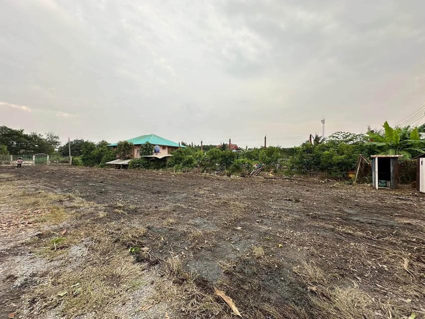 ที่ดิน พื้นถมแล้ว มีรั้วรอบ ที่ติดริมคลอง 3