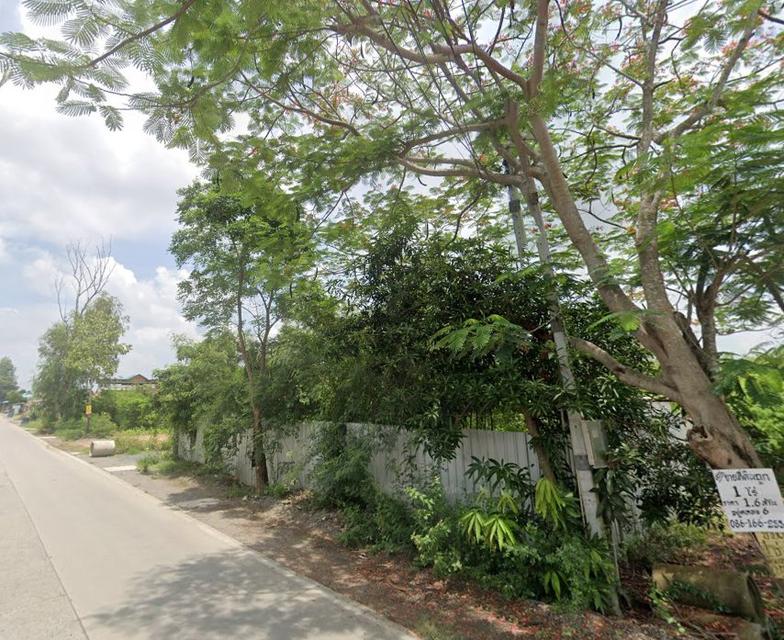 ขายที่ดินคลองห้าถมแล้ว 200 ตรว. ซอยโรงเรียนทีปังกรวิทยาพัฒน์ ใกล้ถนนเส้น3010-300เมตร อ.คลองหลวง ปทุมธานี