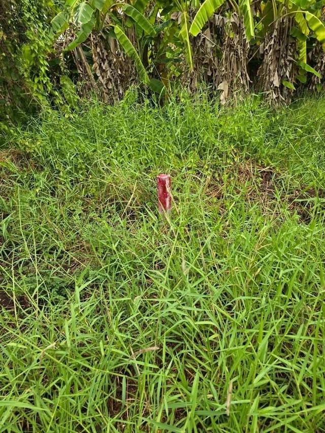 Vายที่ดินใกล้วัดพุทธวิชยาราม 50 ตารางวา ติดถนนสาธารณะ คลองหก ตต.25/1 อ.คลองหลวง จ.ปทุมธานี 5