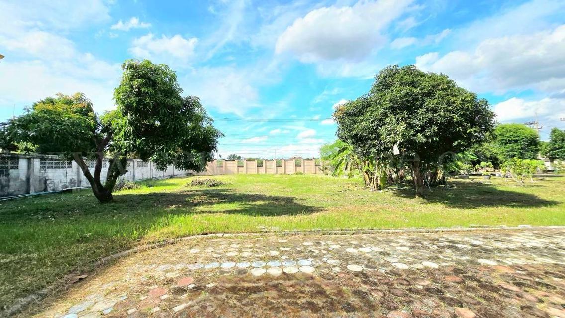 บ้านเดี่ยว 412 ตร.วา บงกช 79 - คลองหลวงสอง ปทุมธานี 16