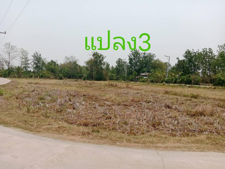 ที่ดินเจ้าของขายเอง ทั้ง3แปลง ครุฑแดง ใกล้โรงพยาบาล สถานศึกษา อำเภอ ที่ดิน สถานนีตำรวจ สามารถคุยโดยตรงกับเจ้าของที่ได้เลย ที่อยู่ จ.ลำแาง 10