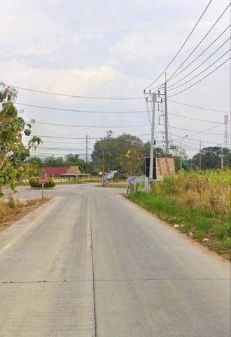 ขายที่ดินหนองไผ่แก้วชลบุรีขายที่ดิน 124 ไร่ ผังเหลือง ตำบลหนองไผ่แก้ว บ้านบึง ชลบุรี 6