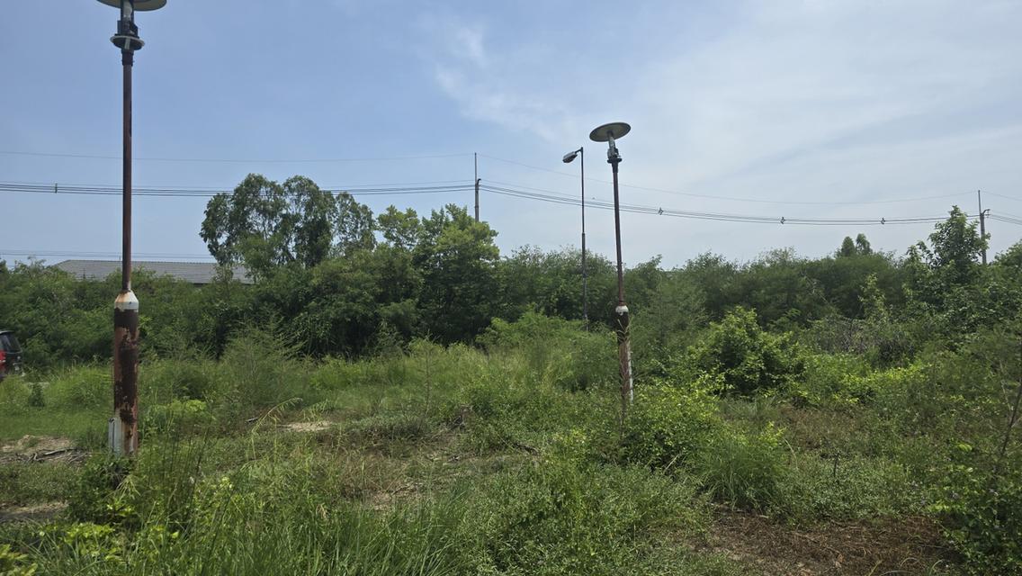 ที่ดินข้างสนามกอลฟ์บางปู 1-0-59 โซนสีเหลือง สำหรับสร้างบ้าน 3