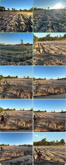 ขายที่ดิน 92 ไร่ ใกล้อำเภอทรายมูล จ.ยโสธร (โฉนดครุฑแดงทำเล	 อยู่ใกล้แหล่งชุมชน ห่างจากอำเภอทรายมูล 5 กม. การเข้าถึง	ถนนลูกรังถึงหน้าที่ดิน เข้าออกสะดว 3