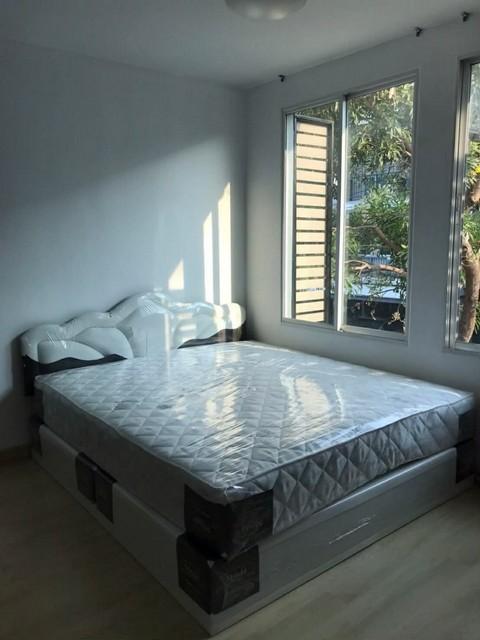 P665 ให้เช่าโครงการ อารียา เดลี่ เกษตร-นวมินทร์  AREEYA DAILY KASET-NAWAMINTR ถนนลาดปลาเค้า ใกล้วัดลาดปลาเค้า เหมาะพักอาศัย 9