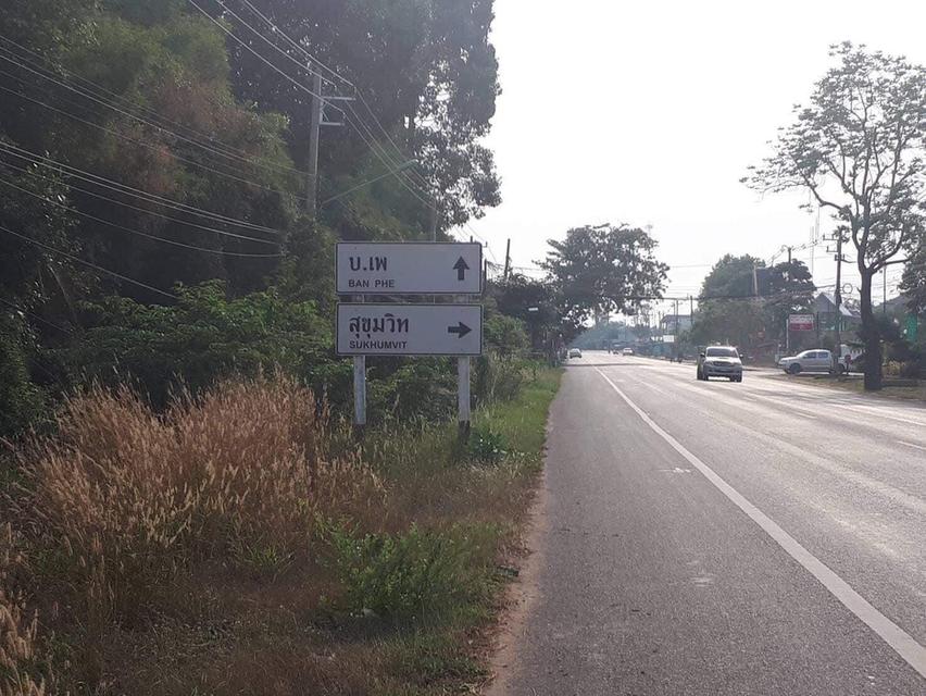 ขาย ที่ดิน 13ไร่ ติดทะเล ระยอง 6