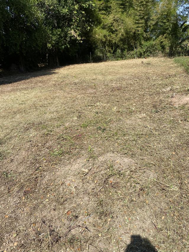 ที่ดินเปล่าอยู่หลังโรงเรียนมหาวิชานุกูล 2 แปลงแปลงละ 100 ตรว ใกล้ศาลากลาง โรงเรียน สถานที่ราชการ สถานี บขส สนามกีฬาจังหวัด สถานีรถไฟ 4