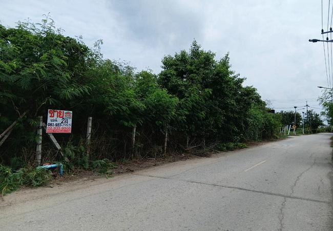 ขายที่ดิน 214 ตร.ว. หน้าม.เกษตรกําแพงแสน ถนนมาลัยแมน อำเภอกําแพงแสน นครปฐม 4