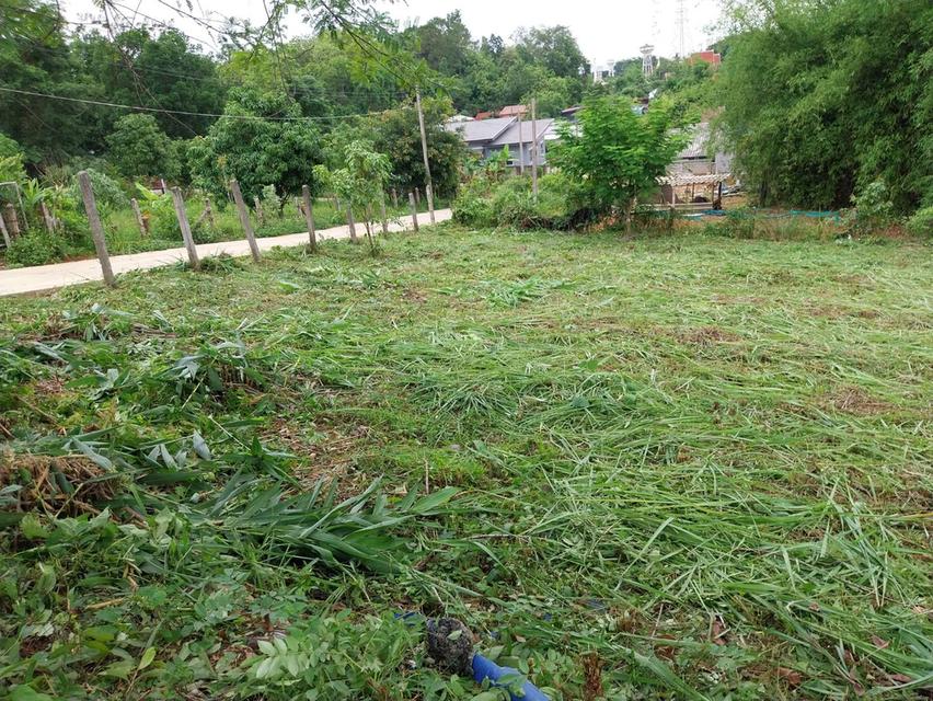 ที่ดินหัวมุมบนเนิน