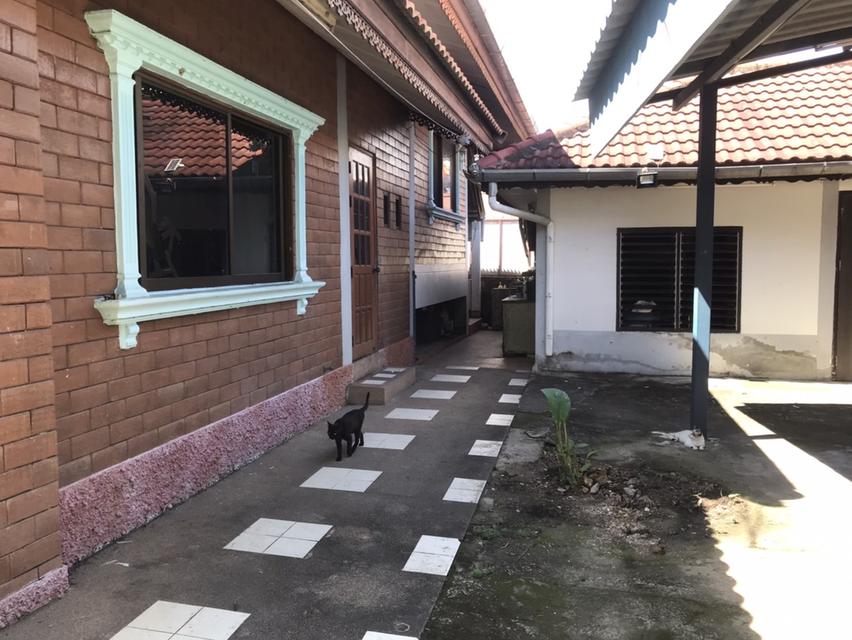 ขายบ้านใกล้เมือง 8 Km (ต.หนองควาย อ.หางดง จ.เชียงใหม่) พื้นที่ 132 ตรว. ขายราคา4.5 ล้าน 2