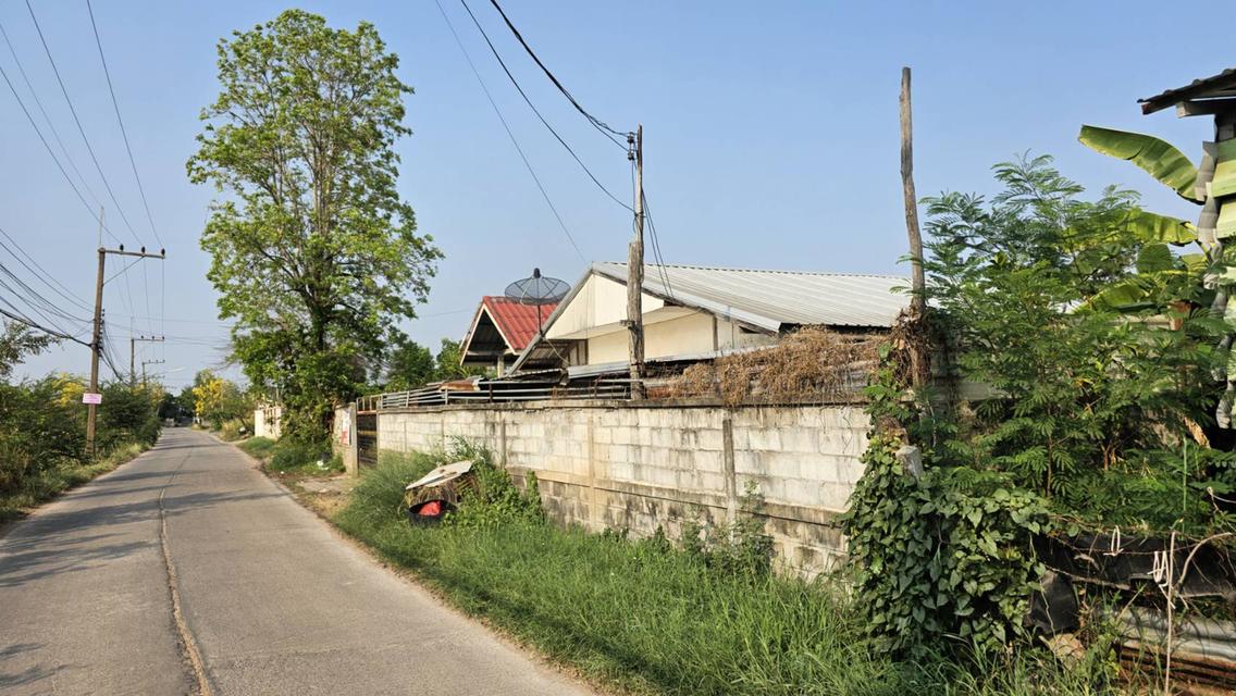 ขายบ้านพร้อมที่ดิน บ้านโจด อำเภอเมือง-ขอนแก่น 4