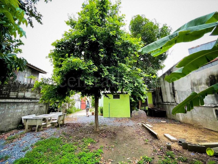 บ้านเดี่ยวพร้อมที่ดิน 80 ตร.วา ซอยวัดกู้ - ปากเกร็ด นนทบุรี 3