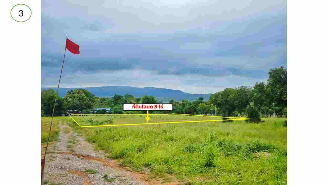 ขาย Ozone บริสุทธิ์ ที่ดินคลองไผ่.วิวเขา  3 ไร่.  3.9 ลบ. ( 3,250 บ./ วา ) 2